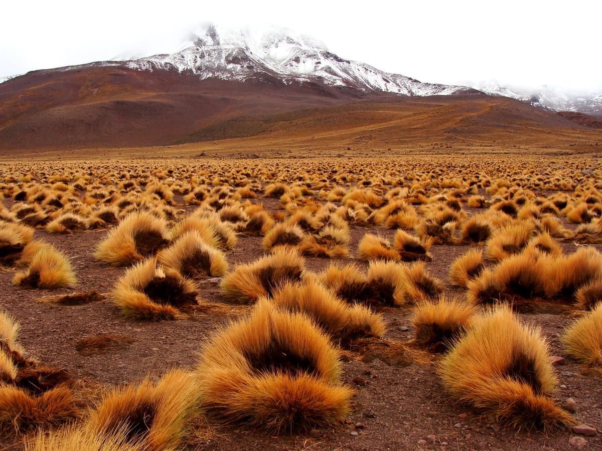 Copiapó Hotel Maray المظهر الخارجي الصورة
